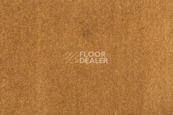 Ковролин Balta ITC Vensent 37 фото 1 | FLOORDEALER